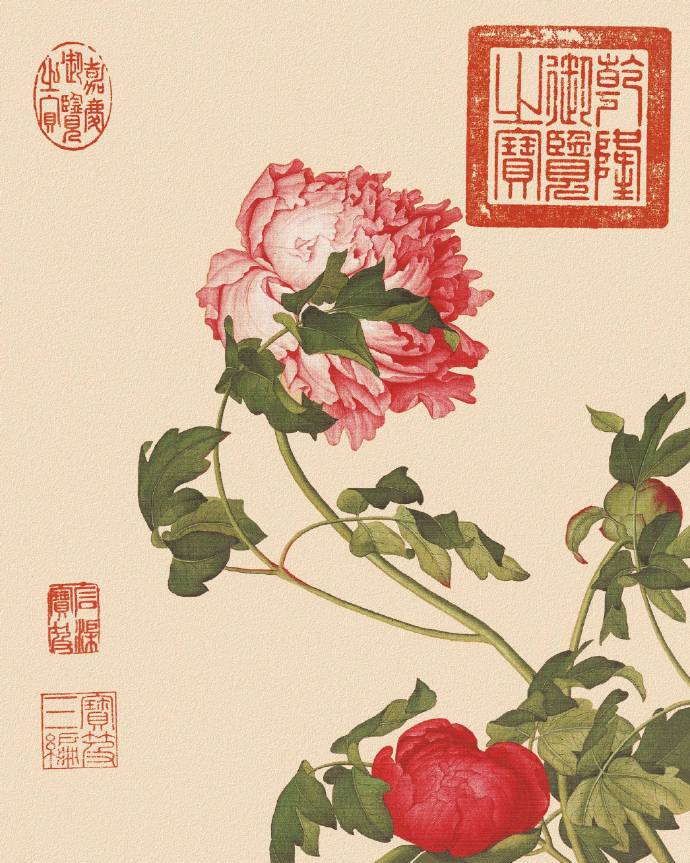 郎世寧的工筆畫欣賞，品味國畫藝術(shù)的古典之美