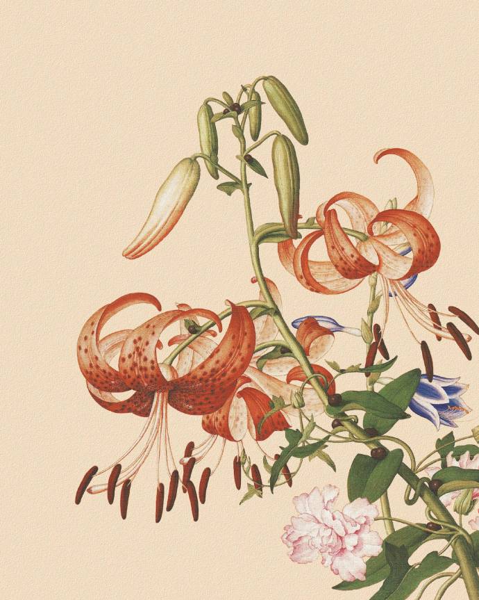 郎世寧的工筆畫欣賞，品味國畫藝術(shù)的古典之美