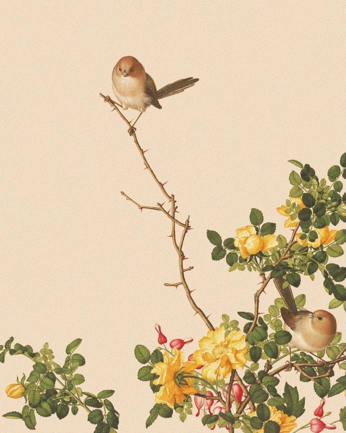 郎世寧的工筆畫欣賞，品味國畫藝術(shù)的古典之美