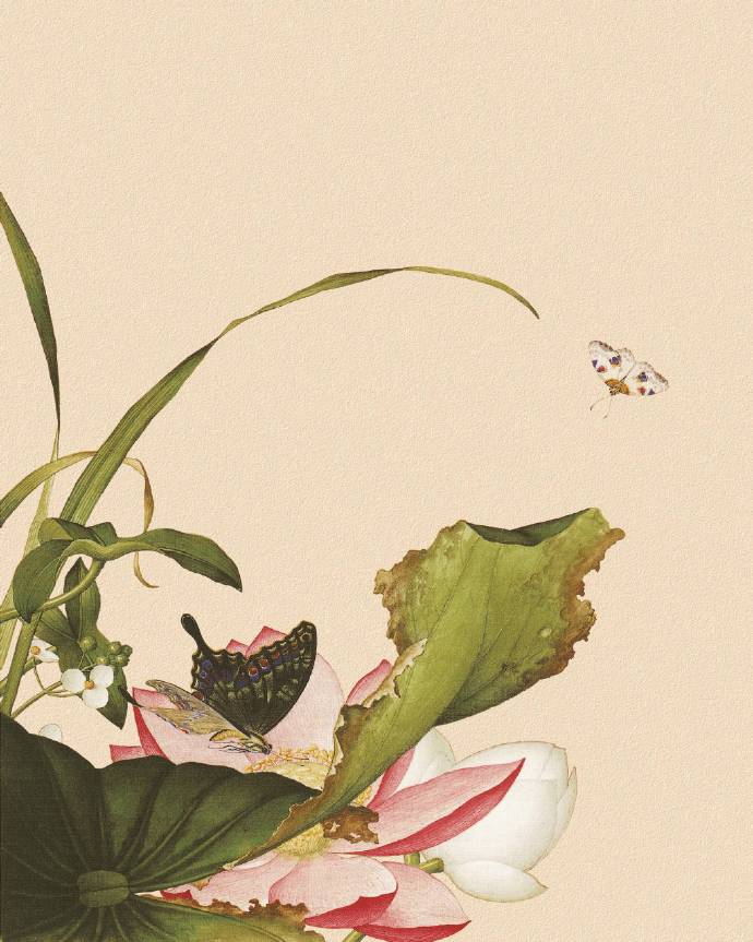 郎世寧的工筆畫欣賞，品味國畫藝術(shù)的古典之美