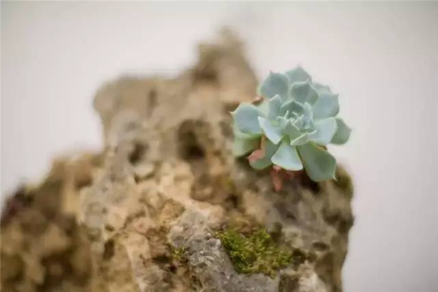 麗江新中式風(fēng)格民宿，麗水云邊