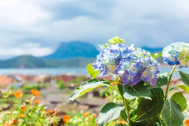 瀘沽湖新中式風(fēng)格民宿，等風(fēng)·半山