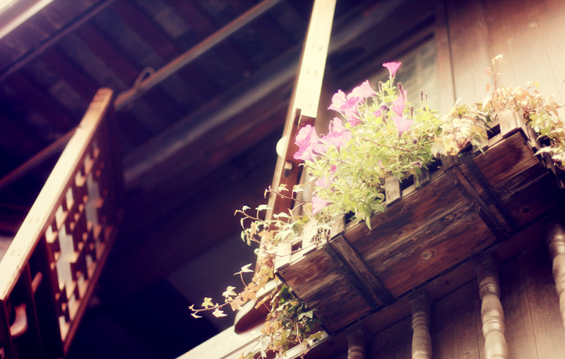 古建筑裝飾之美，花窗（2）