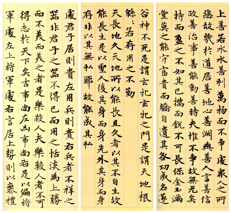 楷書(shū)四大家之趙孟頫《道德經(jīng)》（節(jié)選）欣賞