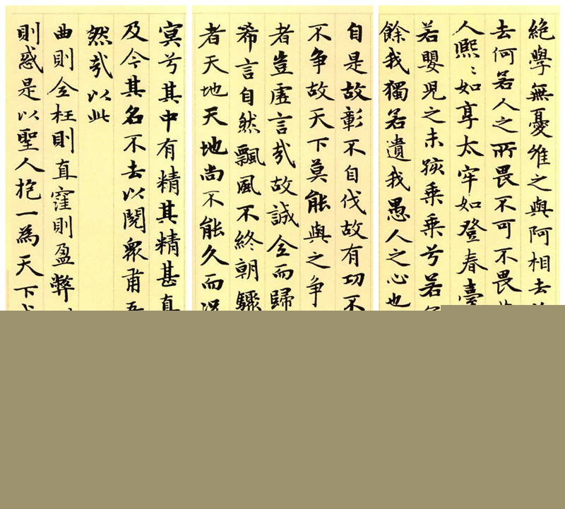 楷書(shū)四大家之趙孟頫《道德經(jīng)》（節(jié)選）欣賞