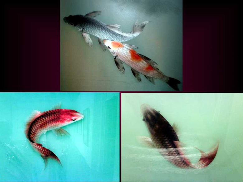 “蘇繡皇后”姚建萍，作品欣賞