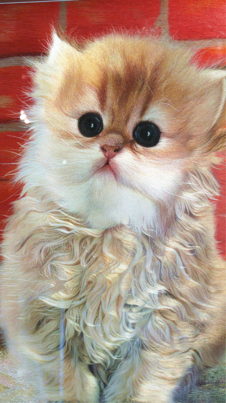 “蘇繡皇后”姚建萍，作品欣賞