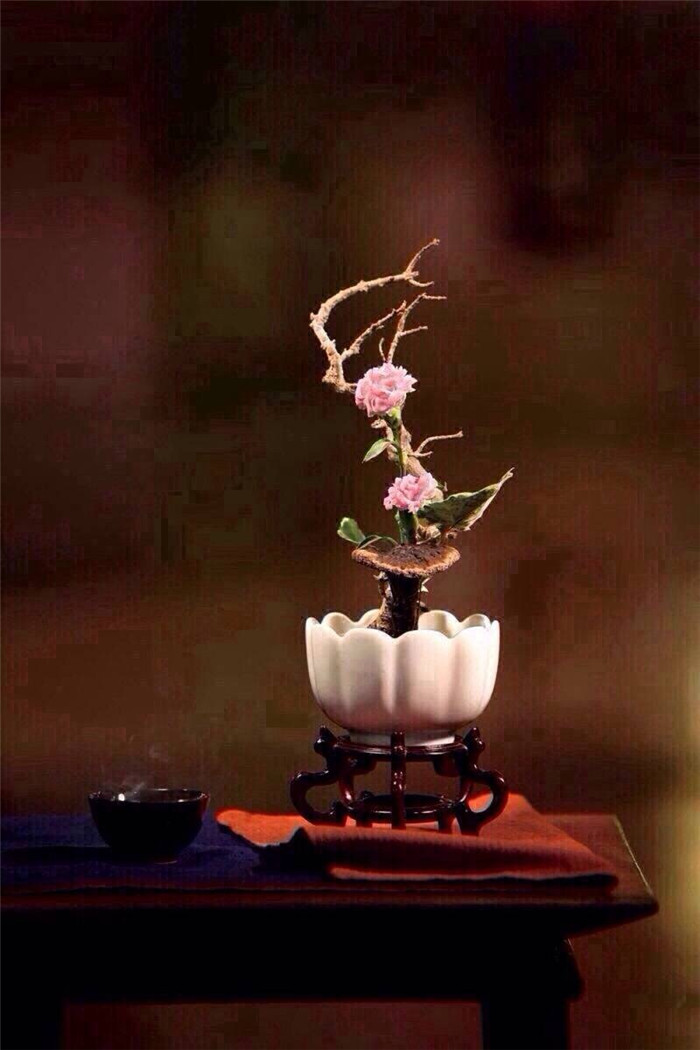 中式插花藝術欣賞