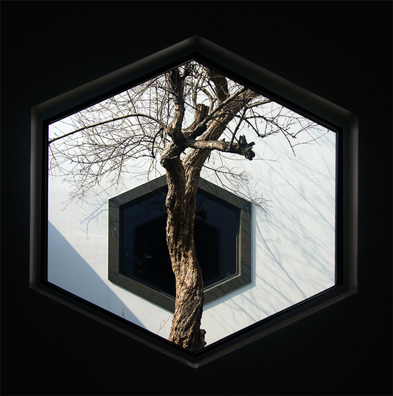 蘇州博物館，空間與園林的完美結(jié)合