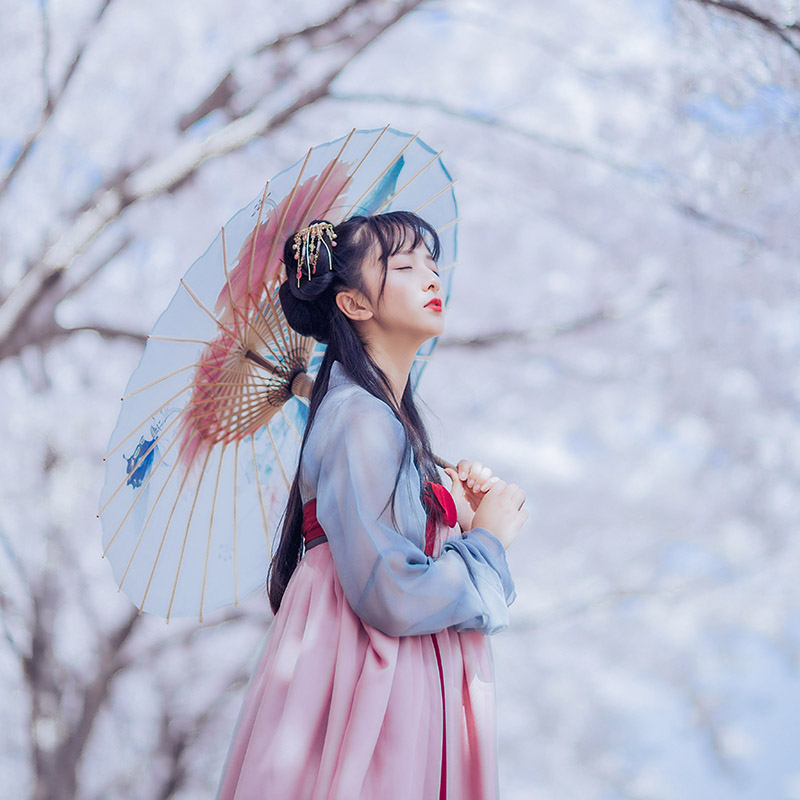 漢服齊胸襦裙【云櫻長(zhǎng)尾】