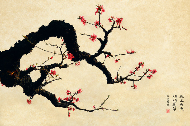 紅艷桃花繪畫(huà)國(guó)畫(huà)欣賞