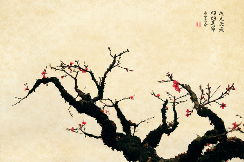 紅艷桃花繪畫(huà)國(guó)畫(huà)欣賞