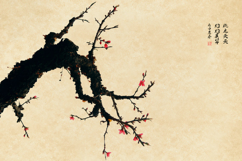 紅艷桃花繪畫(huà)國(guó)畫(huà)欣賞