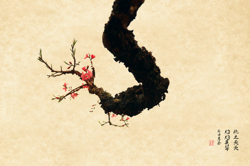 紅艷桃花繪畫(huà)國(guó)畫(huà)欣賞