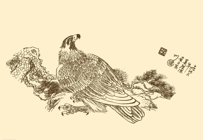 梁啟德精美雄鷹白描作品