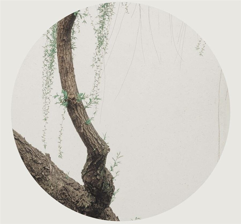 柳樹庭院風景攝影圖片