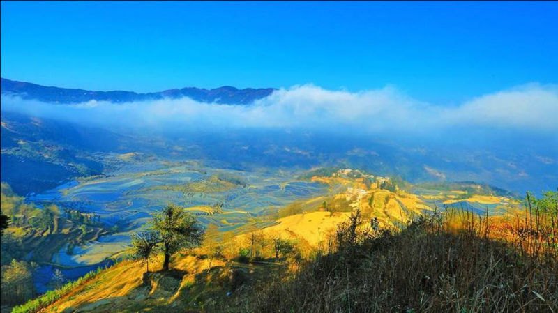 藍(lán)色的元陽梯田風(fēng)光攝影