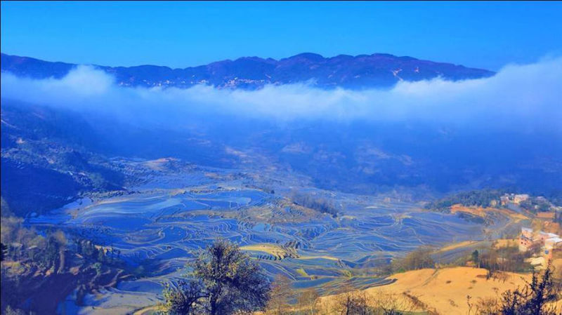 藍(lán)色的元陽(yáng)梯田風(fēng)光攝影