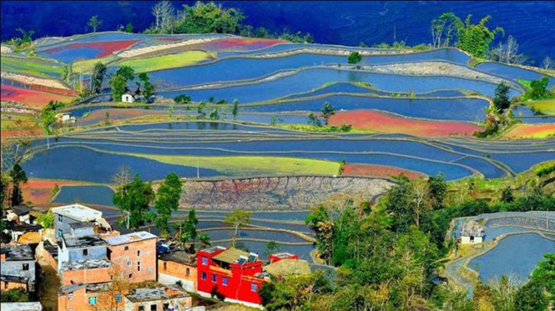 藍(lán)色的元陽梯田風(fēng)光攝影