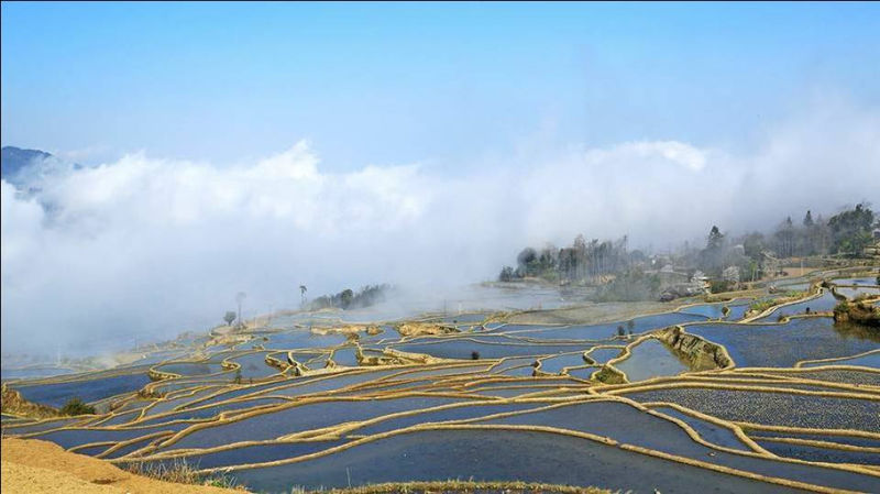 藍(lán)色的元陽(yáng)梯田風(fēng)光攝影
