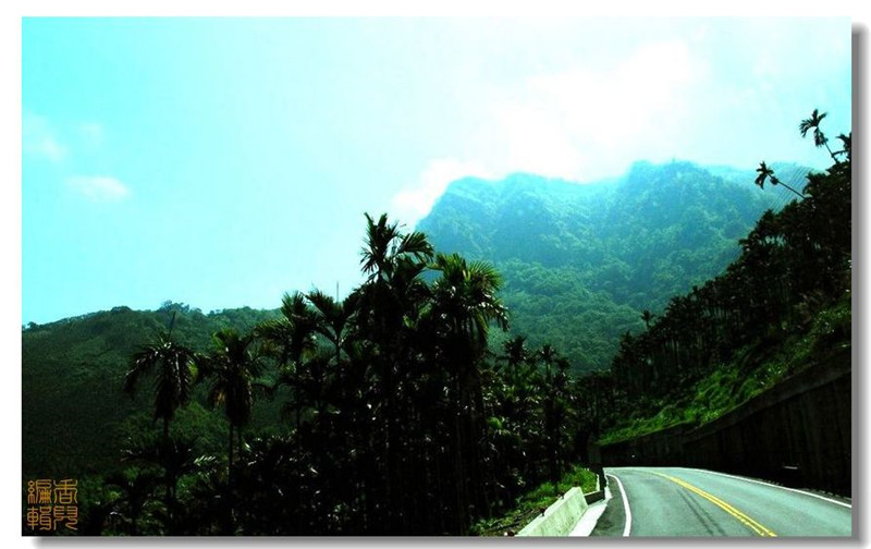 臺灣阿里山風光攝影欣賞