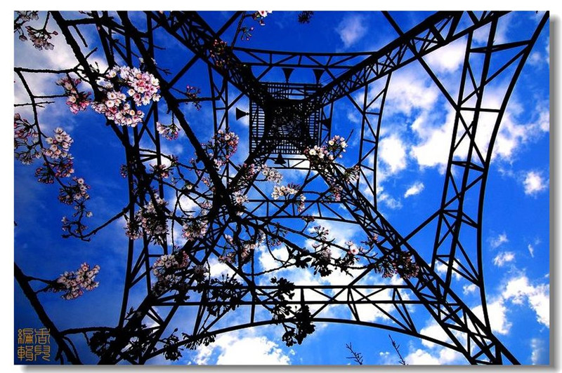 臺灣阿里山風光攝影欣賞