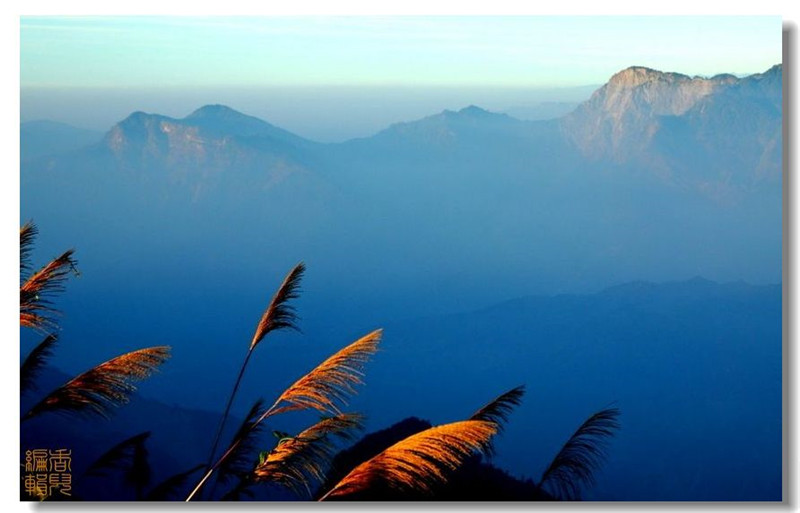 臺灣阿里山風光攝影欣賞