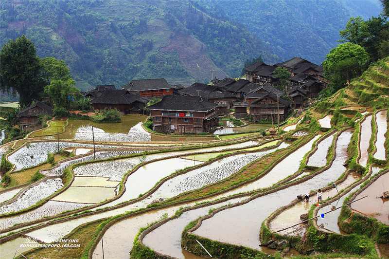 貴州苗寨梯田吊腳樓景色