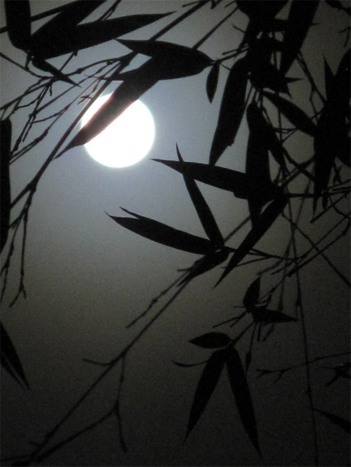 竹月清風的風景攝影