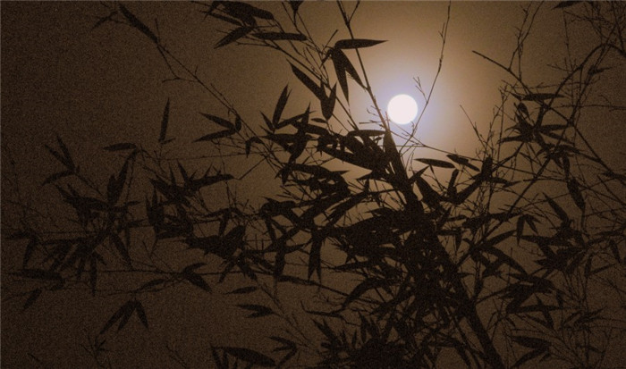 竹月清風的風景攝影