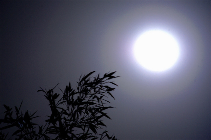 竹月清風的風景攝影