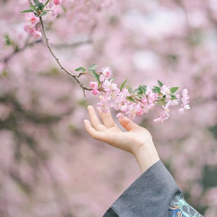 玉手撫枝古風頭像，唯美女子纖手頭像