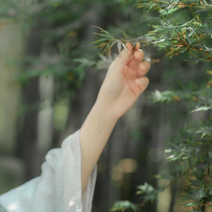 玉手撫枝古風頭像，唯美女子纖手頭像