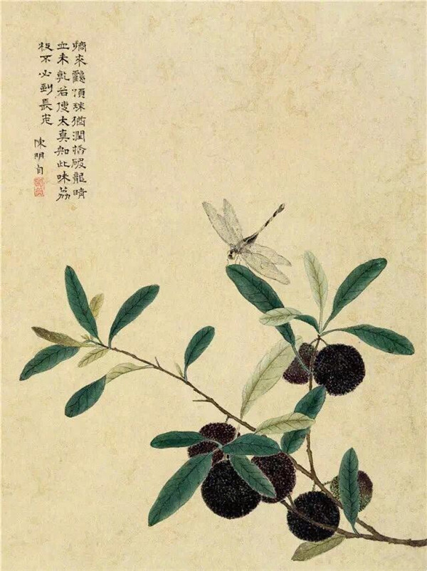 明清時代畫家陳明自繪畫的花卉動物