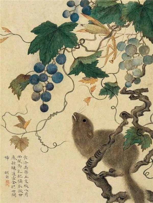 明清時代畫家陳明自繪畫的花卉動物