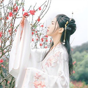輕盈溫婉的古風(fēng)女子頭像，中國古典風(fēng)格qq頭像