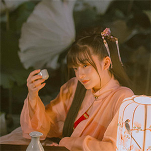 夜色杏粉小依獨(dú)醉酒古風(fēng)頭像，女生古風(fēng)頭像