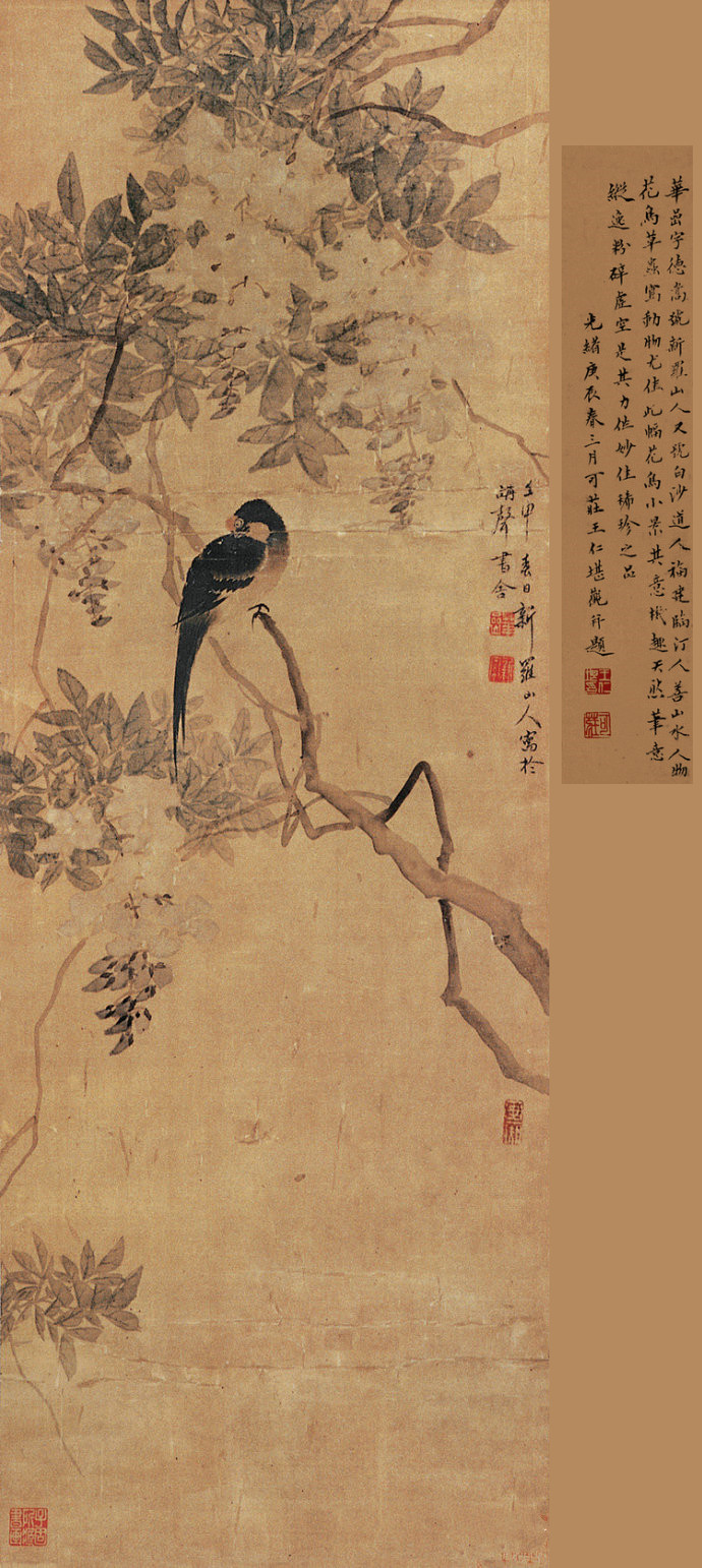 清代畫(huà)家華嵒精美花鳥(niǎo)書(shū)畫(huà)作品欣賞