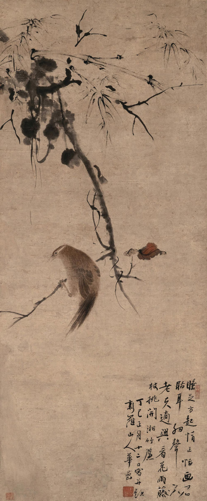 清代畫(huà)家華嵒精美花鳥(niǎo)書(shū)畫(huà)作品欣賞