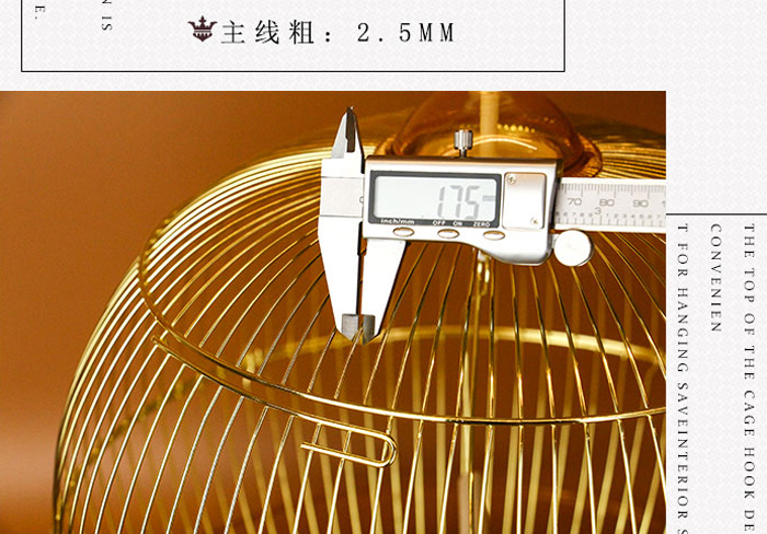 鸚鵡金屬裝飾觀賞鳥(niǎo)籠