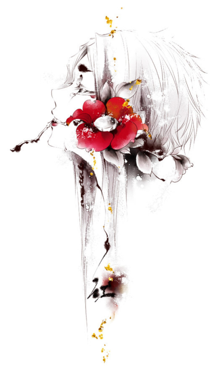 精美古風(fēng)服飾插畫，家佳樂文學(xué)手繪插畫