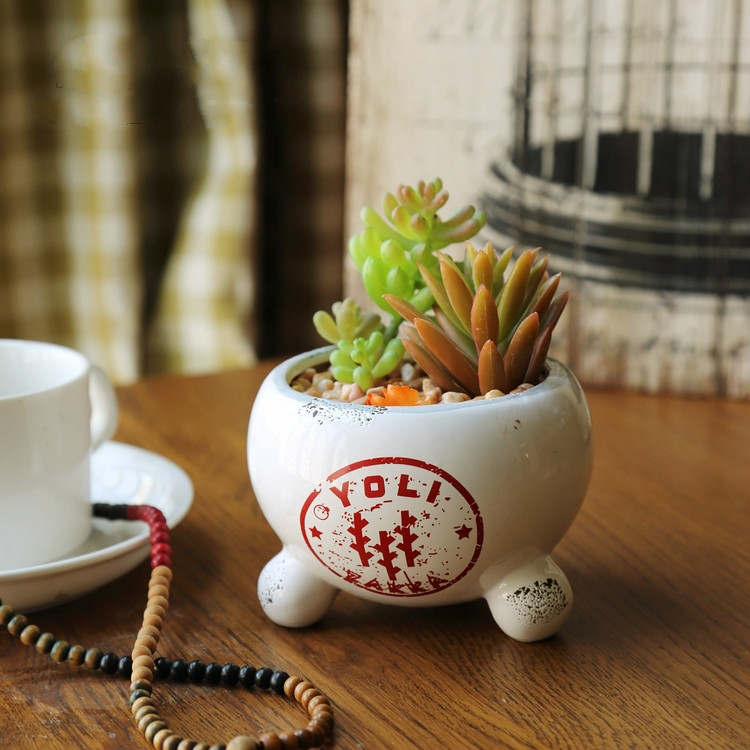 田園風(fēng)格盆景，綠意盎然盆景圖片