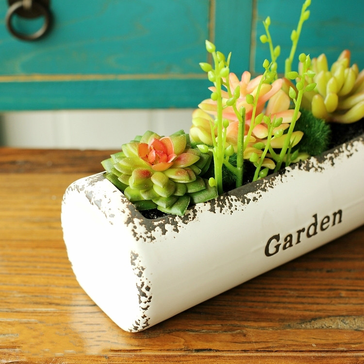 田園風(fēng)格盆景，綠意盎然盆景圖片