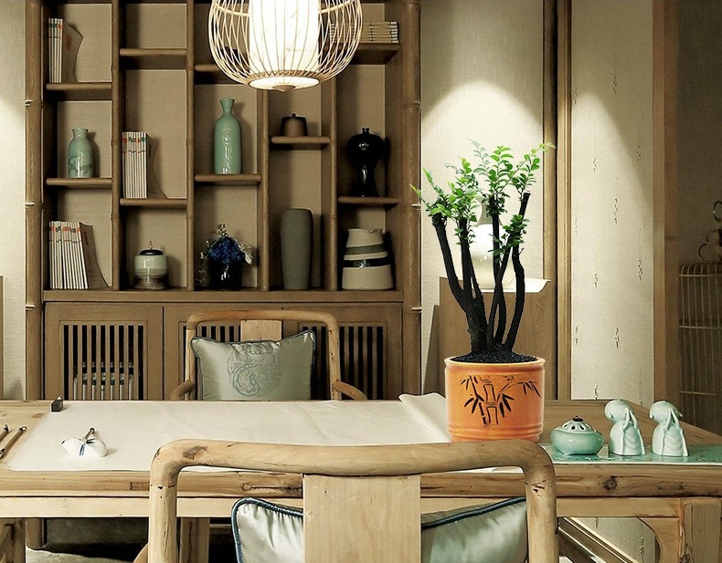 小葉紫檀盆景，黑骨茶樣式盆景圖片