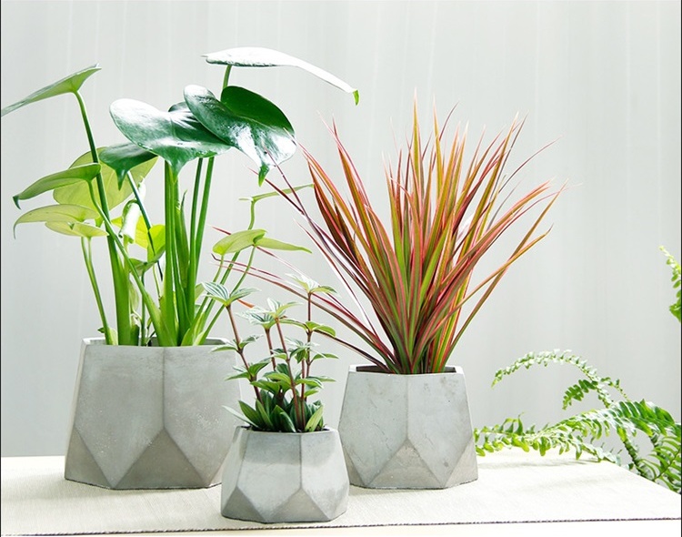 簡約水泥盆景，創(chuàng)意時(shí)尚盆景圖片