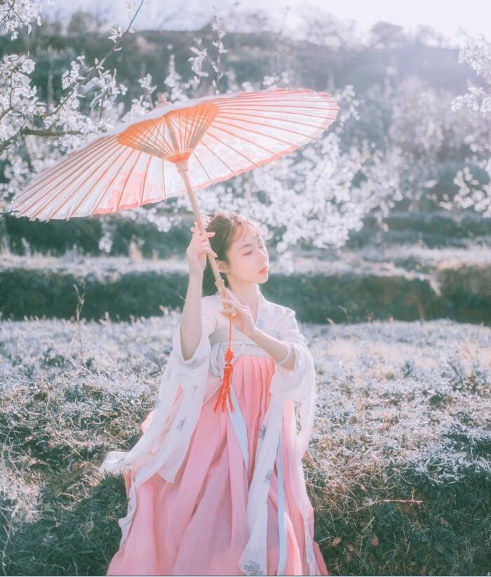 刺繡對(duì)襟齊胸襦裙，清新淡雅漢服