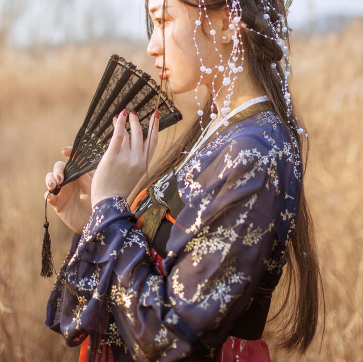 傳統(tǒng)齊胸襦裙，錦繡燙金刺繡漢服圖片