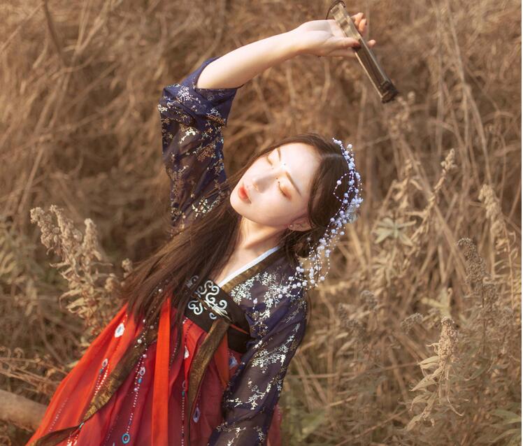 傳統(tǒng)齊胸襦裙，錦繡燙金刺繡漢服圖片