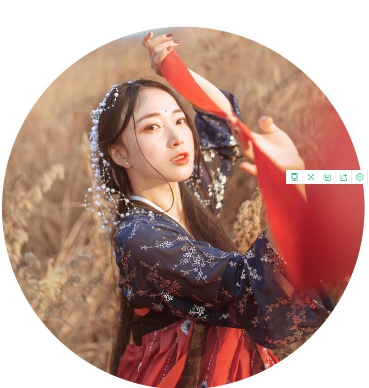 傳統(tǒng)齊胸襦裙，錦繡燙金刺繡漢服圖片