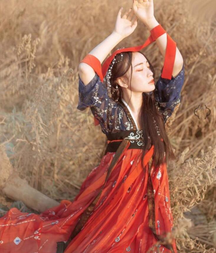 傳統(tǒng)齊胸襦裙，錦繡燙金刺繡漢服圖片